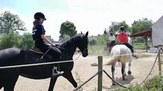 Hercia i ja kłus galop i inne😜🔥Szkoła Jazdy Konnej '' Kary i Siwy ''