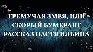 Загадка гремучей змеи: Возвращение бумеранга История от Насти Ильиной