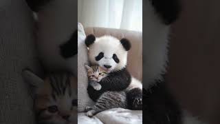 Absolutely Adorable! 💖 Fur-tastic Snuggles: Black, White, and Tabby All Cuddled Up! 🖤🤍🐼🐱