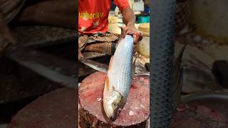 Fish Cutting Skills | Amazing Rohu Fish Cutting Skills In BD Fish Market By Expert Cutter #shorts