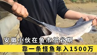 農村小伙靠在稻田里養怪魚，一畝稻田收益翻三倍，一年凈賺1500萬 #于途史紀 #古墓 #考古發現 #考古 #盜墓筆記