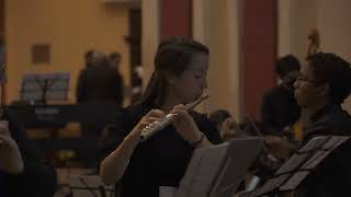 Doppler Andante and Rondo - Ana Laura Domínguez and Kristen Stoner, flutes