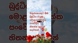 හිතන්න❤️ #shorts #sinhala  #motivationalquotes #lifehacks #viral