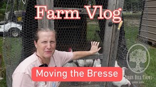 Farm Vlog:  Moving the Bresse