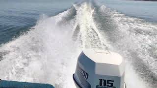 Johnson Evinrude 115