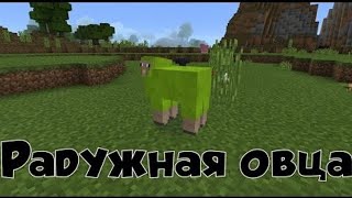 Радужная овечка