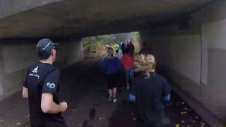 Harlow parkrun #265 - November 9th 2019 (full)