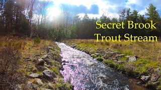 Exploring SECRET Native Brook Trout Stream - Days 1 & 2