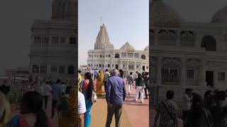 Prem mandir, Vrindavan #harekrishna #srikrishna #jaishreekrishna  #vrindavan #vrindavandham #krishna