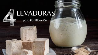 4 Tipos de Levaduras: Encuentra la Perfecta para Tu Pan "la última es Fermento natural"