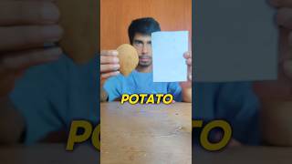 POTATO 🥔 HACK | PAPER 🗞️ HACK #ytshorts #science #experiment @scienceandfun @BLUEBOXSHORTS