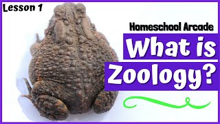 What is Zoology?