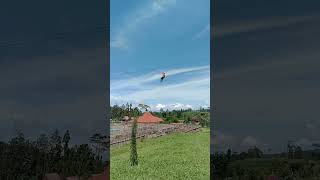 Flying Fox di Bermi Eco Park#short