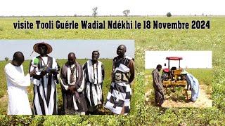 Visite Tooli Guérle Wadiale Ndékhi le 08 Novembre 2024