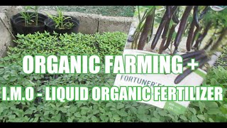 ORGANIC FARMING + I.M.O LIQUID ORGANIC FERTILIZER