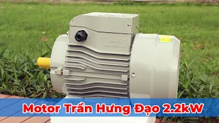 Motor động cơ điện 1 pha 3HP 2.2kW Trần Hưng Đạo ST - S4