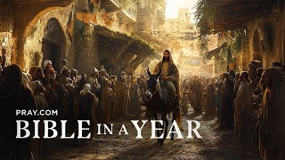 206. The Triumphal Entry - The Gospels | Bible in a Year