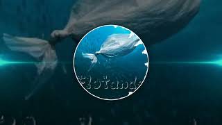 Ivangel Music - Flotando (Audio)