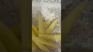 Saucy fries #youtubeshorts #youtube #video #viral #fries #frenchfries