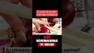 Soğan ve sarımsak arı sokmasına iyi gelir! Arı sokmasına evde ne iyi gelir? #shortsvideo