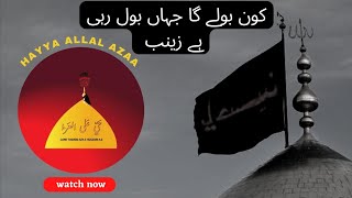 Jahan Bol Rahi Hai Zainab (s.a) | Ali Abbas | 1st Muharram | Imambargah Haji Malik Rehman Peshawar