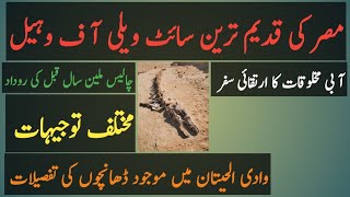 Reality of Valley of Whale Egypt| Wadi Al Hitan Egypt| Whale Fossils|Story of Evolution #Talash Tv