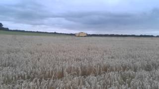 new holland tx68 cutting spring barley