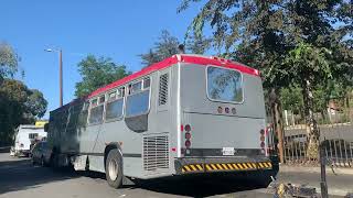 Ex-San Francisco MUNI 2000 Neoplan AN440 8211 in Vallejo (9/4/2023)