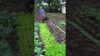 Jang Seeder VS Custom Peg-Board Seeder with Farmers, Jim Kovaleski and Tanner Johnson! #shorts