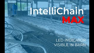 IntelliChain® MAX Alley Scraper | LED Indicator Light Visible Throughout Barn