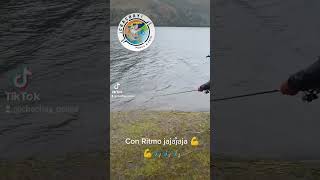 #pesca #trucha #follow #foryou #like #agua #love #reservation #reservation #montaña #reserve #fypシ