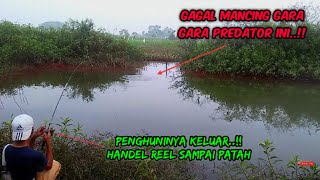 Predator ganas ini bikin gagal mancing ! Casting gabus handel reel sampai patah casting gabus part 4