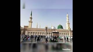 ALAL MADINAH_SYEKH ALI ALMUNYAWI