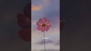 سورة المسد  بصوت القارئ ماهر المعيقلي #حالات واتس  #quran #shorts