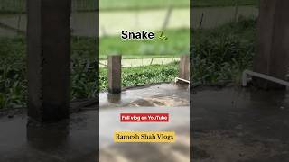 Saap Ghus Gya 🐍 #shorts #shortvideo #rameshshahvlogs