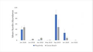 MICRO2020 Florida nurdles talk