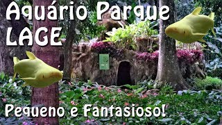 AQUÁRIO PARQUE LAGE - MINI TUBARÃO