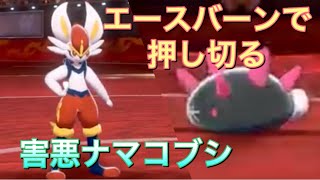 害悪ポケモン駆除① ナマコブシ編(担当エースバーン) 【ポケモン剣盾】