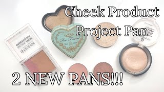 Cheek Product Project Pan | Update #1