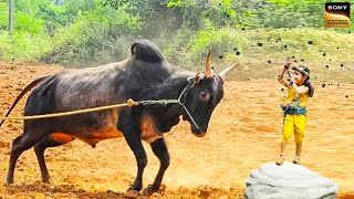 यशोमती मैया के नंदलाला | जनमाष्टमी स्पेशल | Yashomati Maiyaa Ke Nandlala | Janmashtami Special