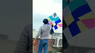 Big patang slow motion #patang  #kite  #youtubeshorts