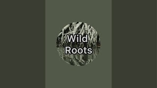 Wild Roots is live!