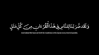 #القران_الكريم كروما شاشه سوداء🌿سورة الروم🌿ولقد ضربنا للناس في هذا القرآن🔥Surah Ar-Rum🔥