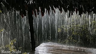 Bruit de la Pluie et Orage sur Tente pour Dormir, Relaxation, Dormir Profondément|Rainy Night - ASMR