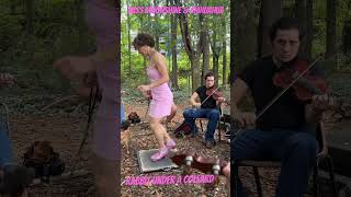 Rabbit Under a Collard Leaf - Clogging ft Miss Moonshine & Mr B - Mickey & Sasha