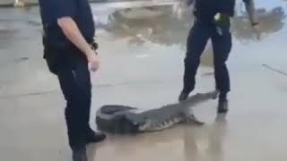 Funny the best prank video police and crocodile/the best prank videos 2019