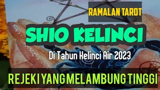 Ramalan Shio Kelinci di Tahun Kelinci Air 2023, Rejeki yang Melambung Tinggi