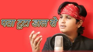 !! पता टूटा डाल से !! माखी बेठी   शहद पे !! Tik tok song !! Anil Nagori !! makhi bethi seht pe !!