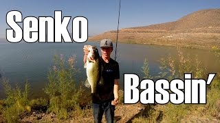 GoPro Senko Bassin~Catching Bass On Senkos