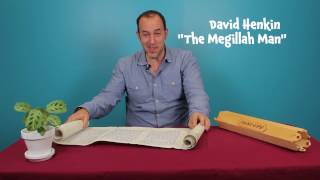 The Purim Megillah: for kids! An introduction to the scroll